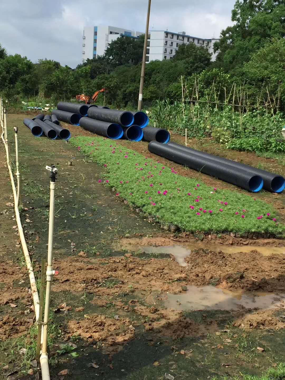 長沙銳信管業有限公司,長沙排污排水管道,塑料管材生產,雙壁波紋管銷售